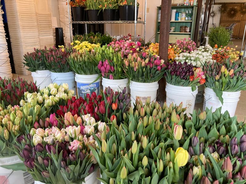 The Mother's Day Bouquet Sale That Sells Out Fast