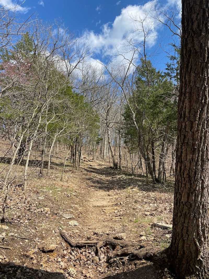 The Mustang Trail and Its Ridge Climbs