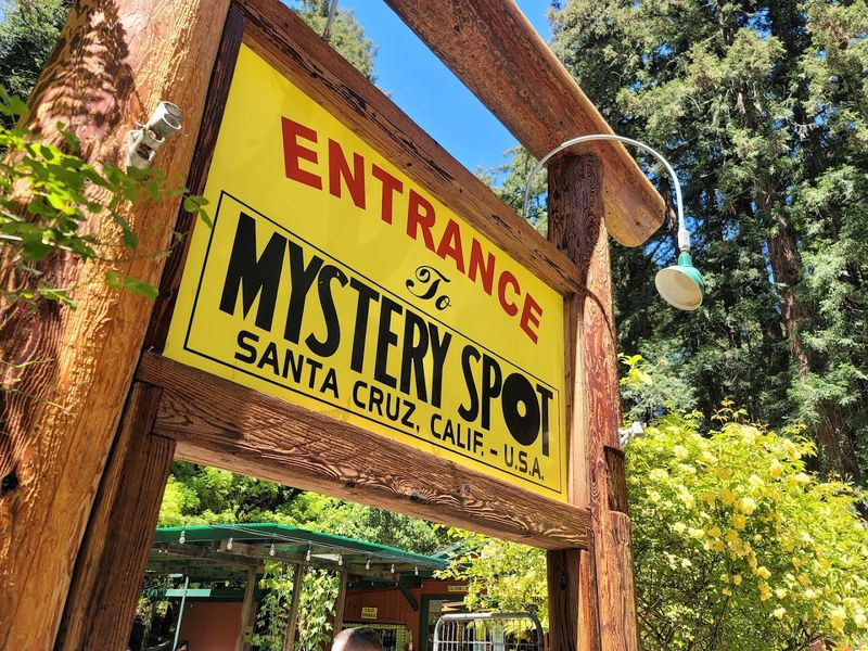 The Mystery Spot, Santa Cruz, California The Mystery Spot, Santa Cruz, California