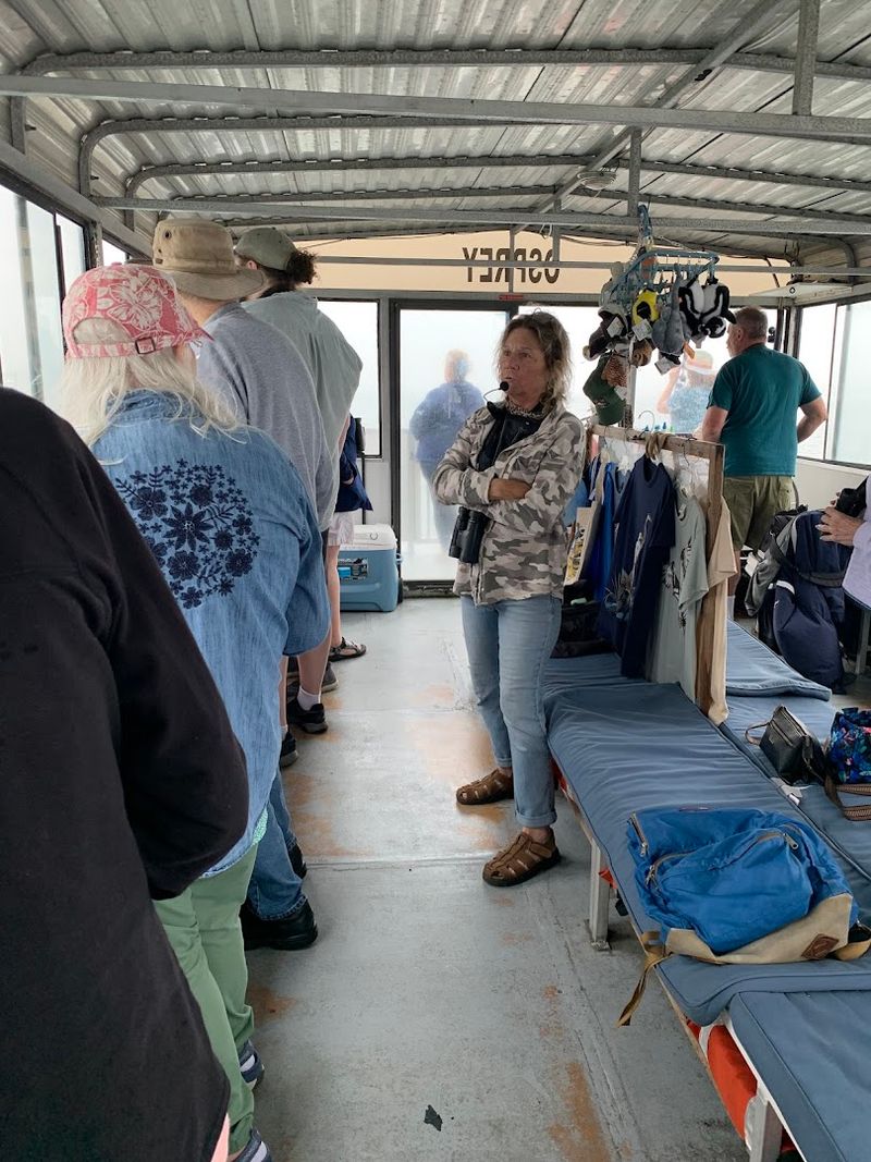 The Naturalist On Board: Your Bird Expert for the Day The Naturalist On Board: Your Bird Expert for the Day