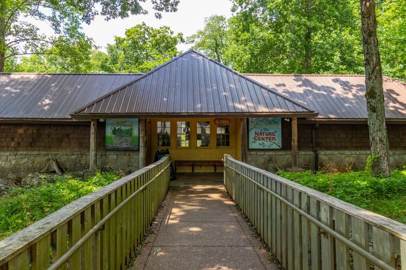 The Nature Center And What It Teaches Kids The Nature Center And What It Teaches Kids
