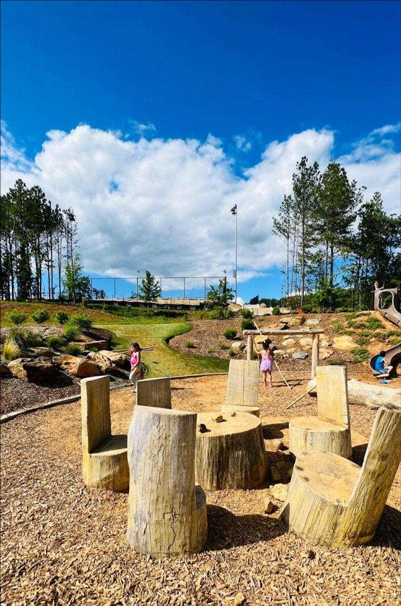 The Nature Play Area: Where Kids Get Creative With Rocks, Logs, and Open Space