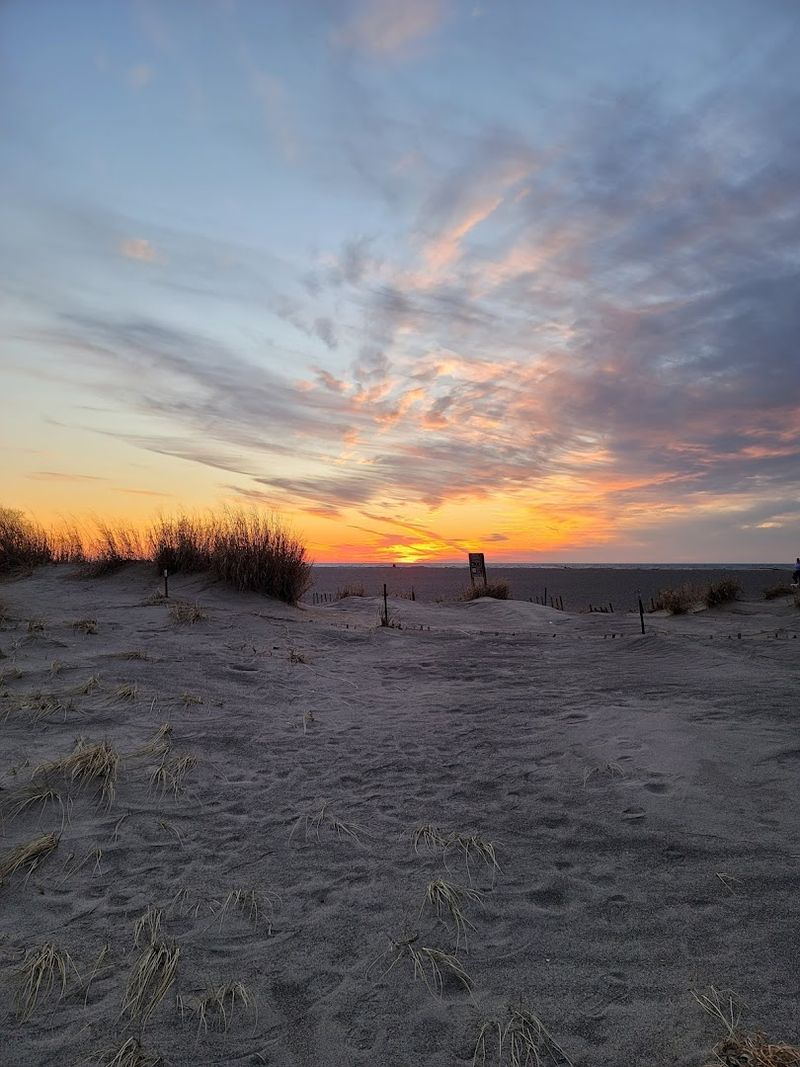 The Nature Preserve and Dune Ecosystem