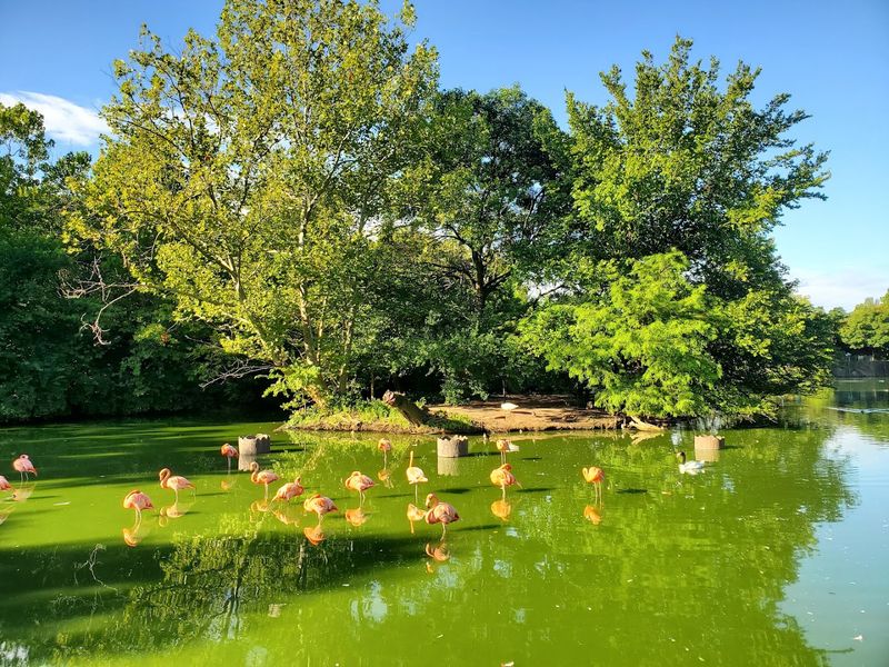 The Nature Reserve: A Quieter Side of the Park Most Visitors Miss