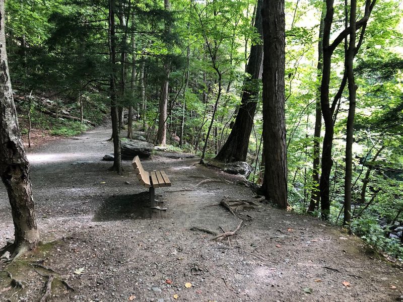 The New York Side Trail Along the Stream