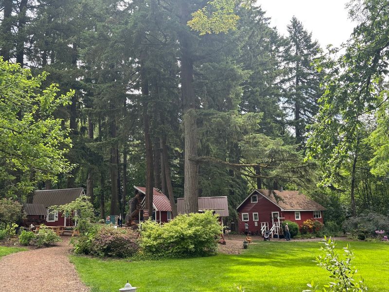 The Nordic Northwest Campus: More Than Just a Troll