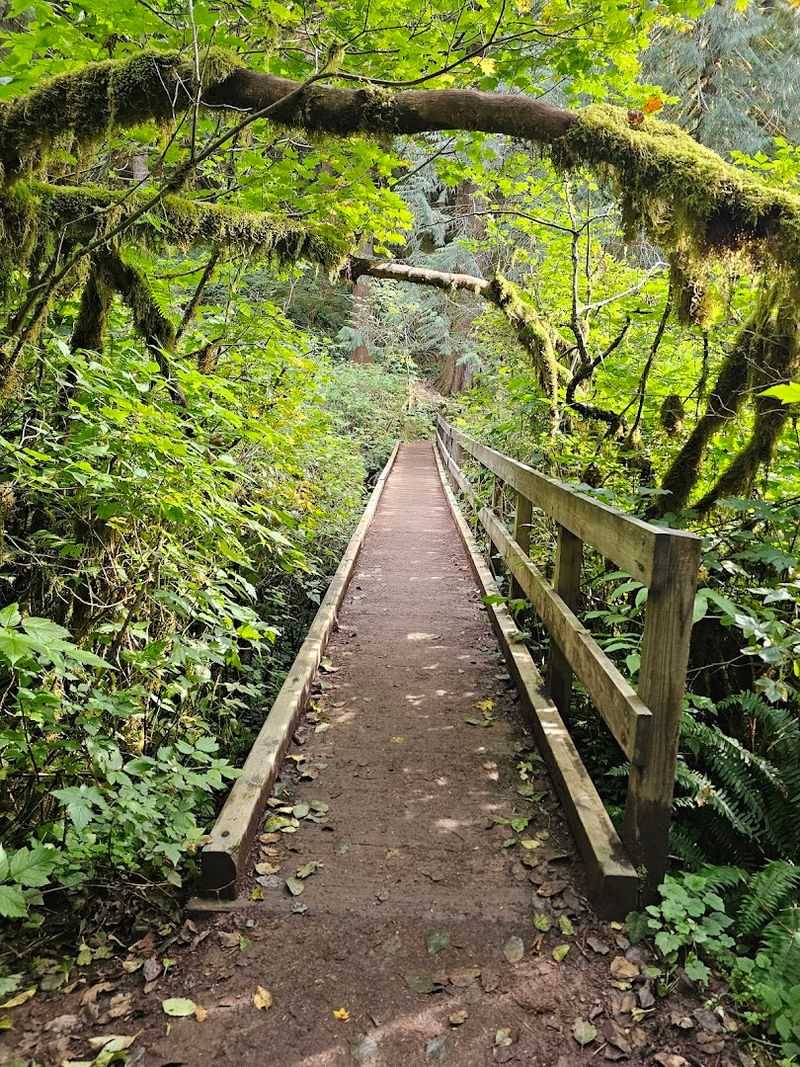 The North Fork Loop: The Trail Less Traveled