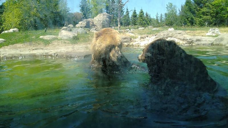 The Northern Trail And Its Standout Residents The Northern Trail And Its Standout Residents