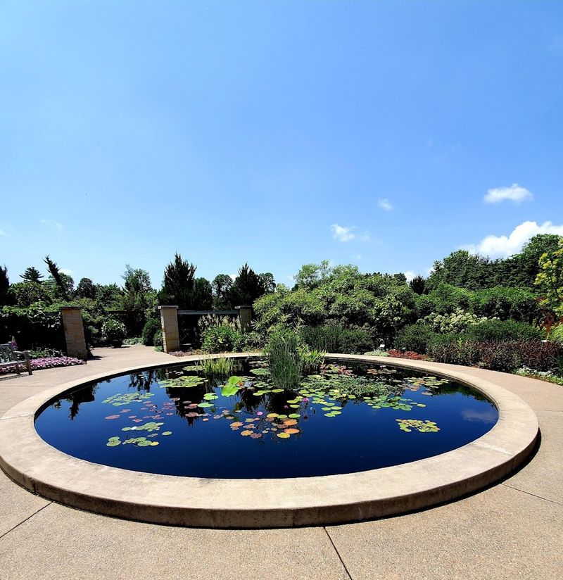 The Oasis Garden and Its Show-Stopping Fountain