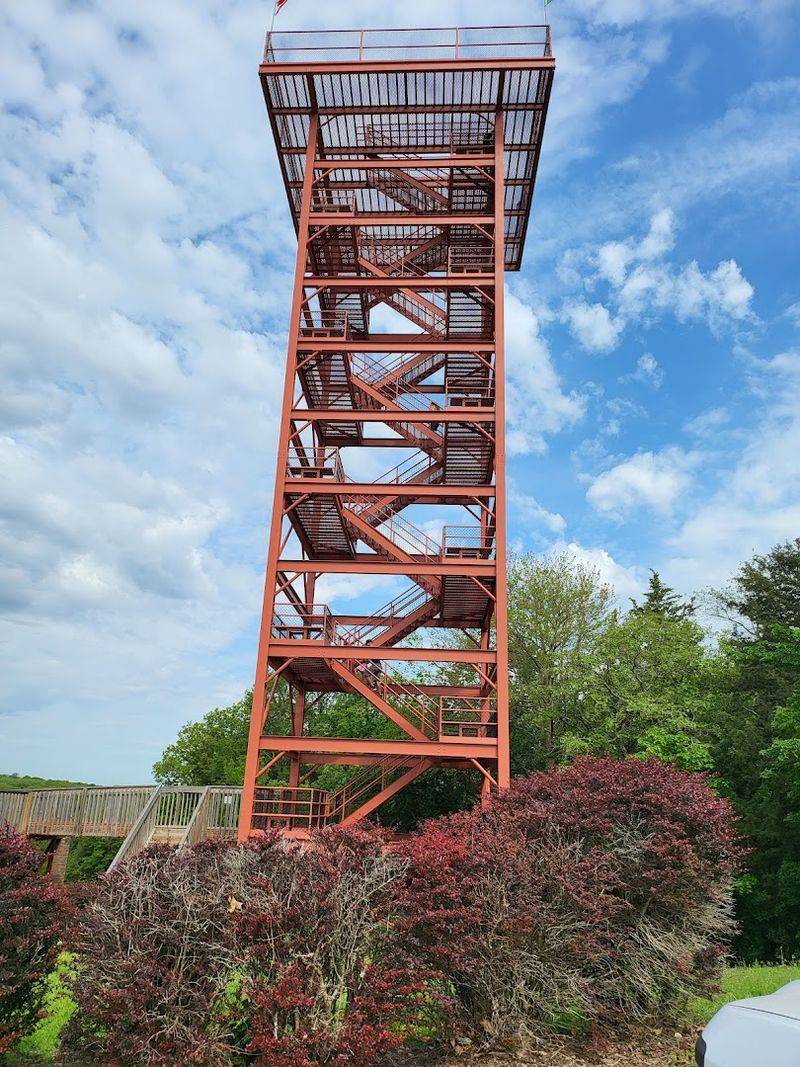 The Observation Tower View That Stops People Mid-Sentence