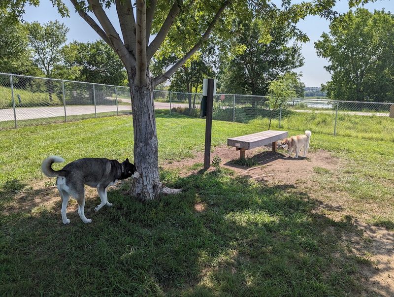 The Off-Leash Dog Park That Dogs Absolutely Love The Off-Leash Dog Park That Dogs Absolutely Love