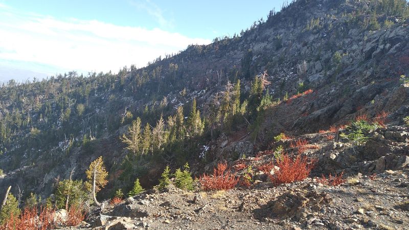 The Old Quarry Stop: A Bonus Discovery