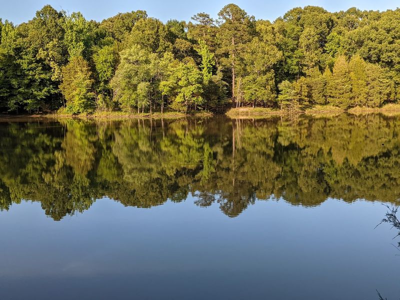 The Ole Miss Connection: Campus Life Meets the Outdoors The Ole Miss Connection: Campus Life Meets the Outdoors