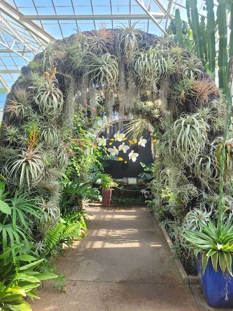 The Orchid Conservatory That Steals the Show