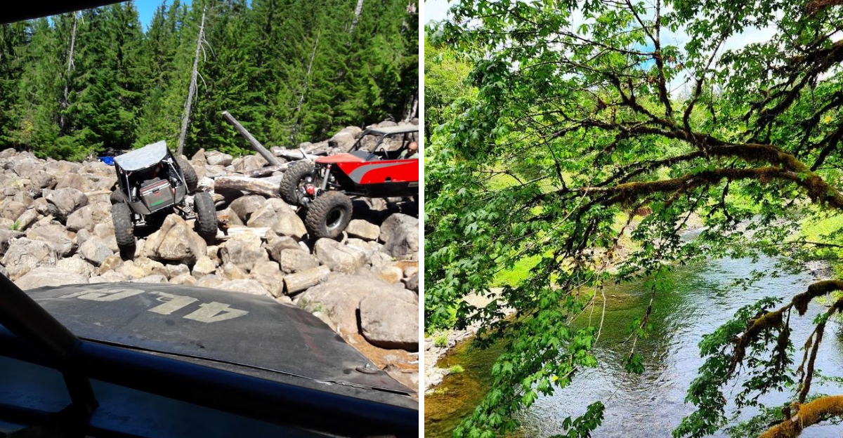 The Oregon Hills Are Hiding an Off-Road Playground Most People Never Discover