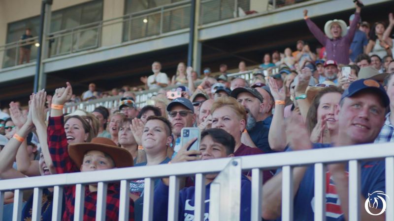 The PBR Experience: Professional Bull Riding Comes to the Equestrian Center