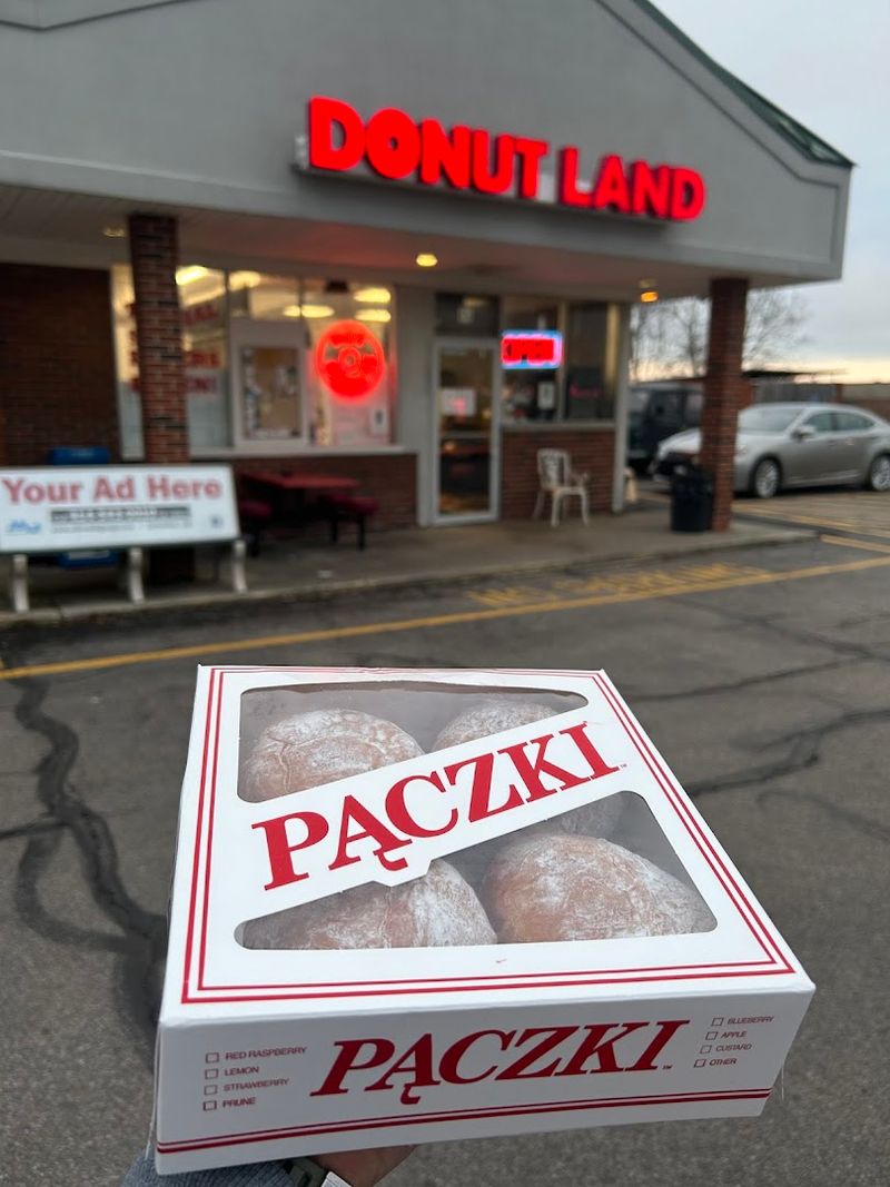 The Paczki Phenomenon The Paczki Phenomenon