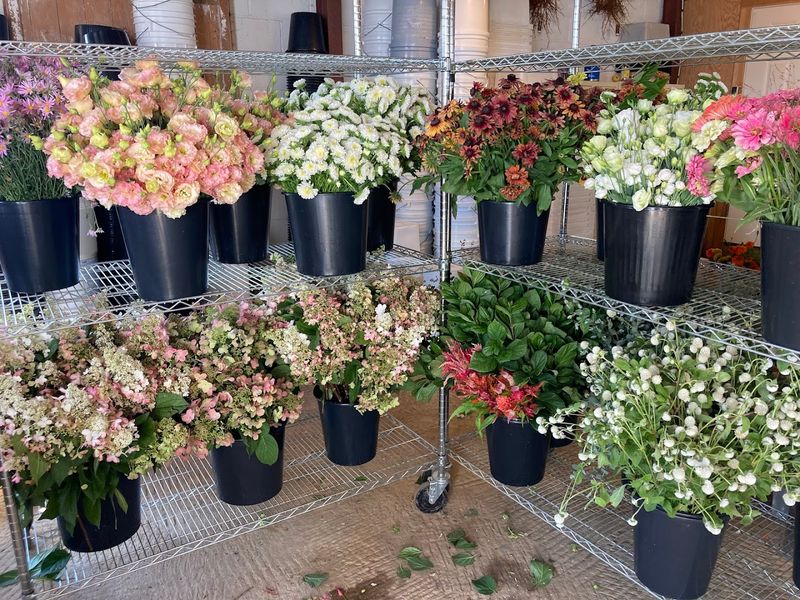 The Party Bucket Concept That Wedding Couples Love
