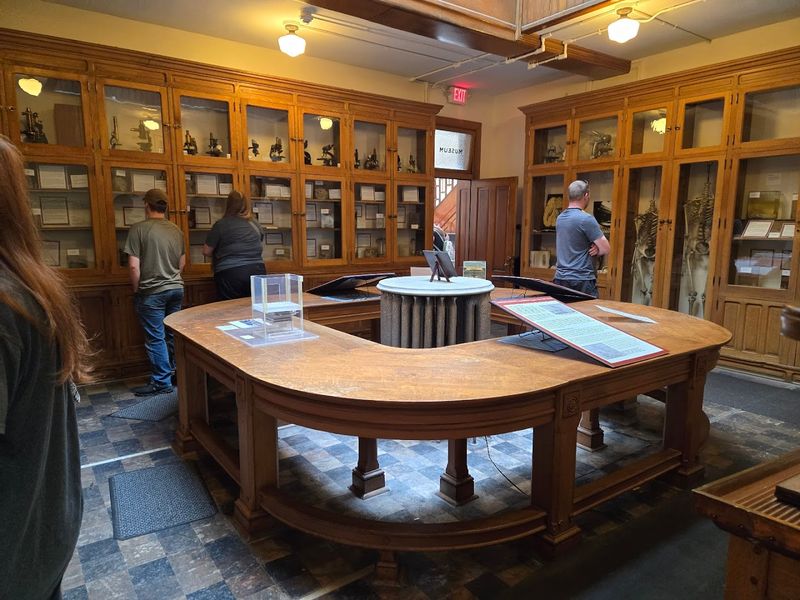 The Pathology Collection That Defines the Museum The Pathology Collection That Defines the Museum