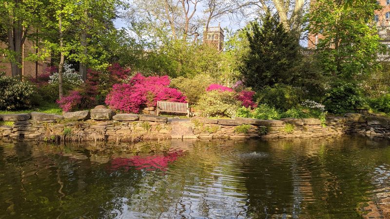 The Paths, Benches, and Quiet Corners Worth Finding The Paths, Benches, and Quiet Corners Worth Finding