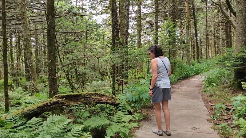 The Paved Trails: Accessibility for Everyone The Paved Trails: Accessibility for Everyone