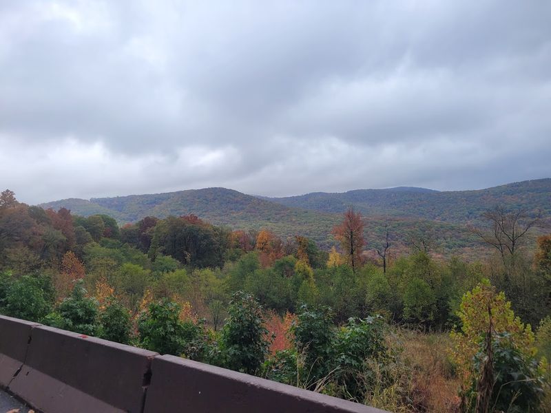 The Pig Trail Connection: A Scenic Route That Ends Perfectly
