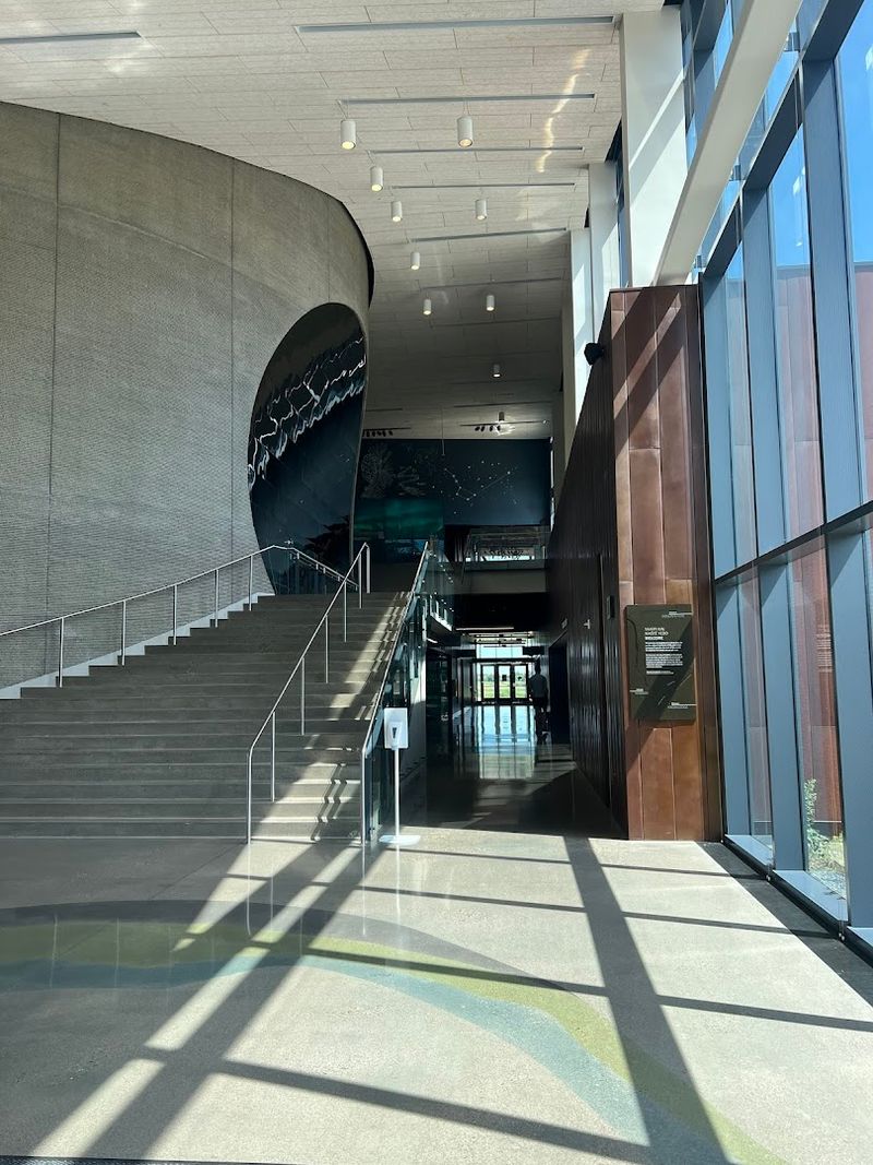 The Planetarium Experience That Steals the Show The Planetarium Experience That Steals the Show