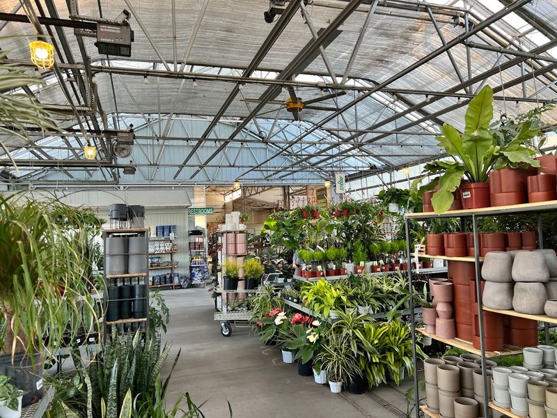 The Plant Selection That Sets It Apart