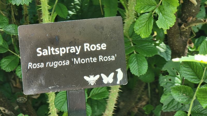 The Plants Are Labeled, and That Changes Everything The Plants Are Labeled, and That Changes Everything