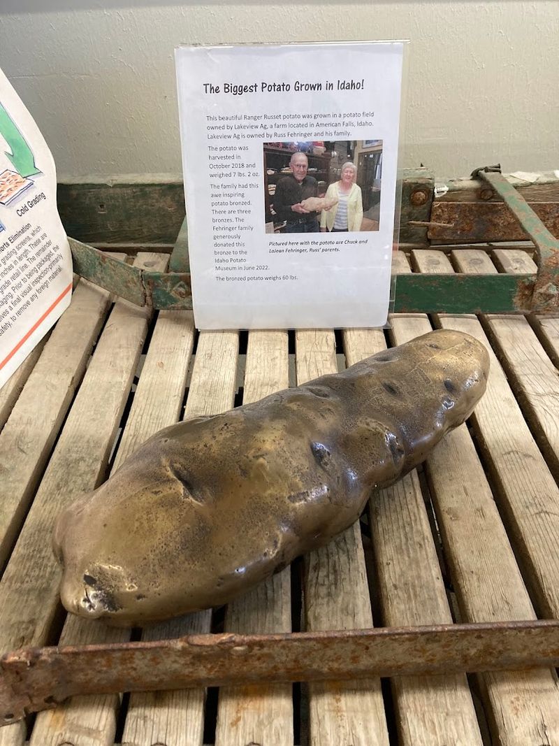 The Political Potato That Sparked a Thousand Smirks