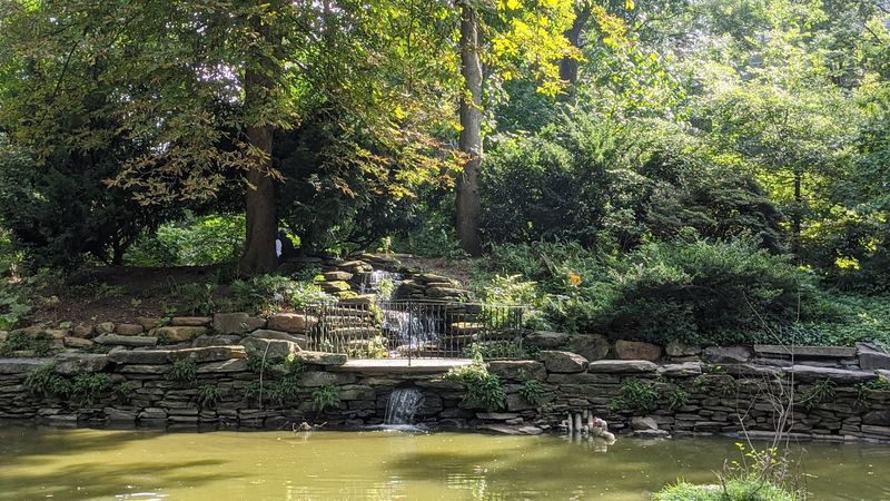 The Pond That Got a Waterfall Upgrade The Pond That Got a Waterfall Upgrade