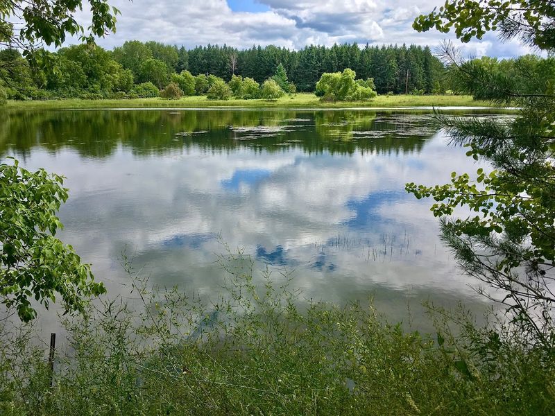 The Ponds and Wetlands Along the Way The Ponds and Wetlands Along the Way