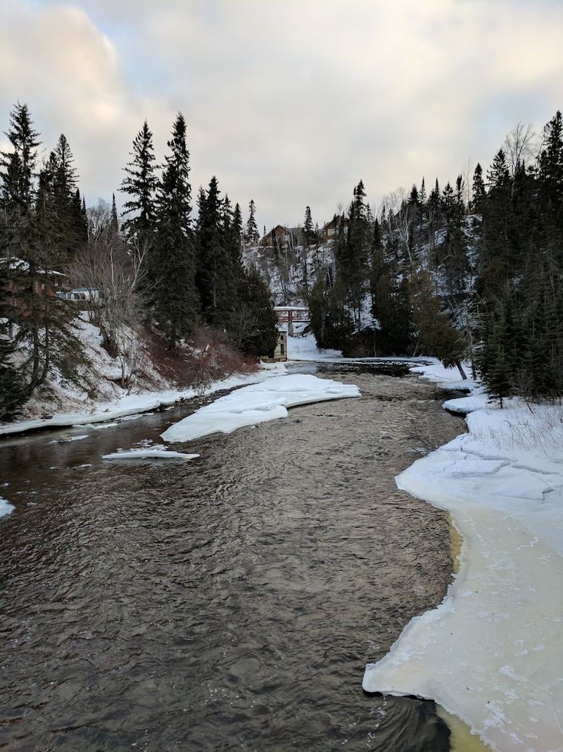 The Poplar River: Paddling Through the Forest