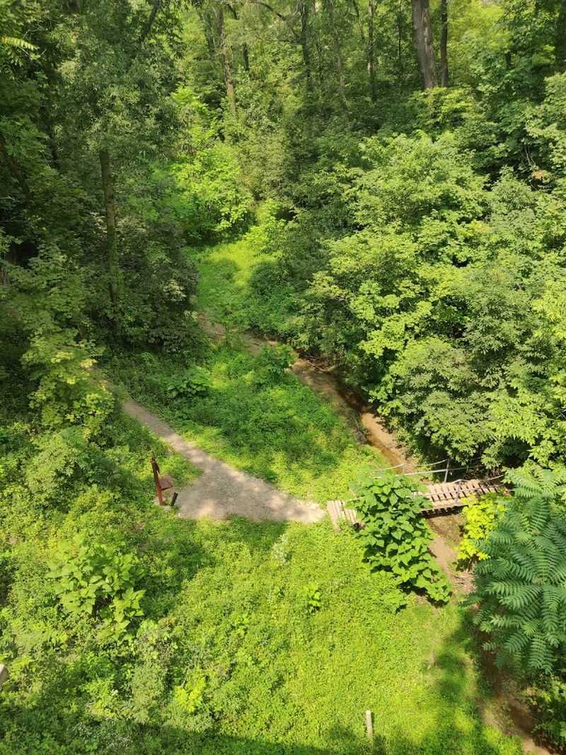 The Possum Hollow Trail