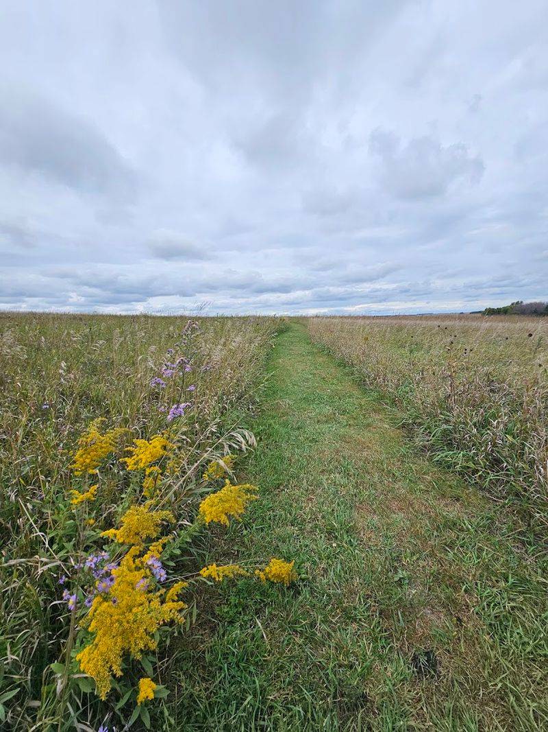 The Prairie Setting That Surrounds the Rock