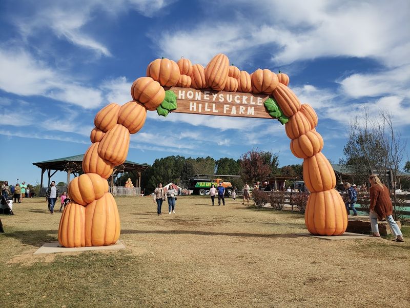 The Pumpkin Patch and Flower Farm The Pumpkin Patch and Flower Farm