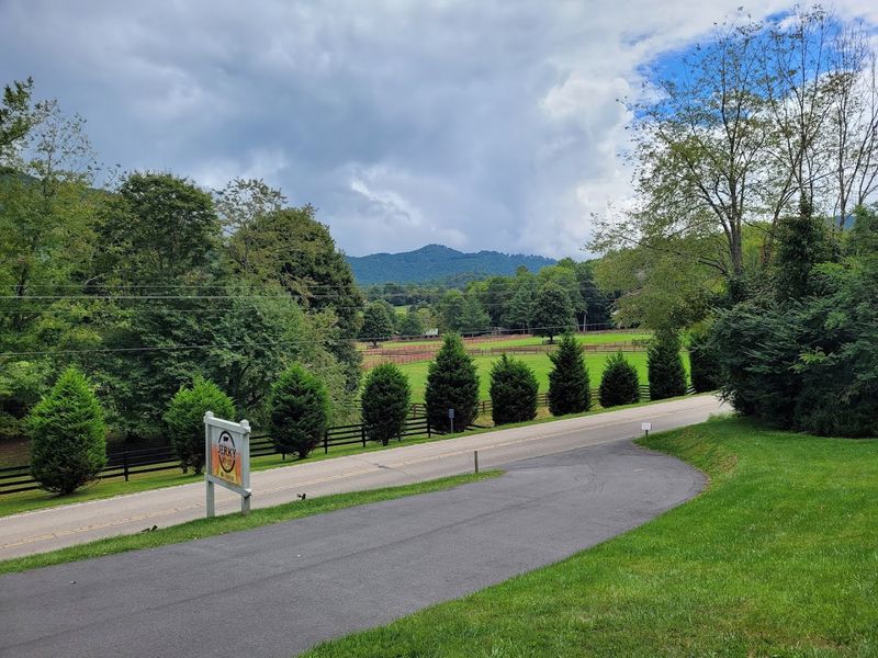 The Quiet Roads and Scenic Drives That Define the Valley The Quiet Roads and Scenic Drives That Define the Valley