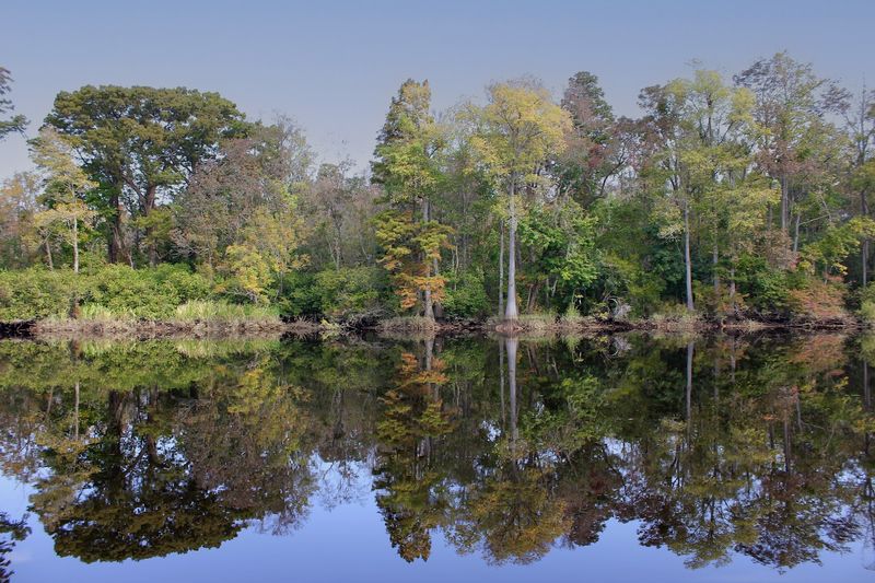 The River Itself: Location, Scale, and Character The River Itself: Location, Scale, and Character