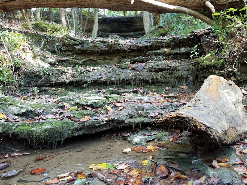 The River Trail: What the Hike Actually Looks Like