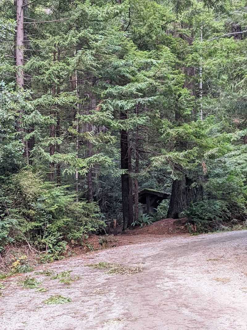 The Road to Get There: A Journey All Its Own
