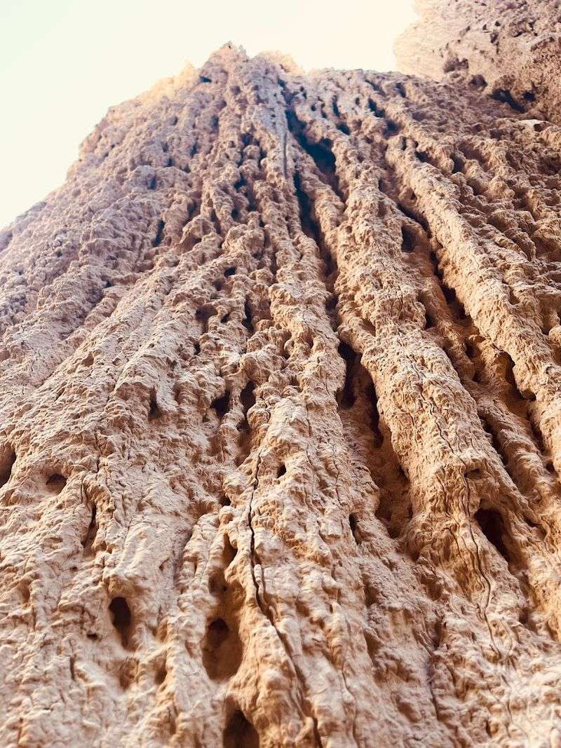 The Rock Textures That Make Photographers Obsessed The Rock Textures That Make Photographers Obsessed