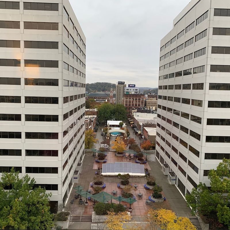 The Role of the Tennessee Valley Authority Here