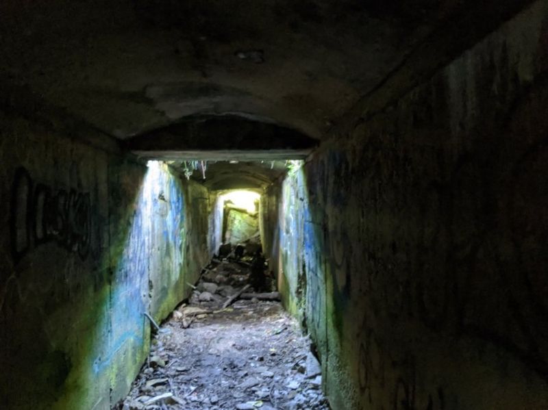 The Root Cellar That Survived Nearly A Century The Root Cellar That Survived Nearly A Century