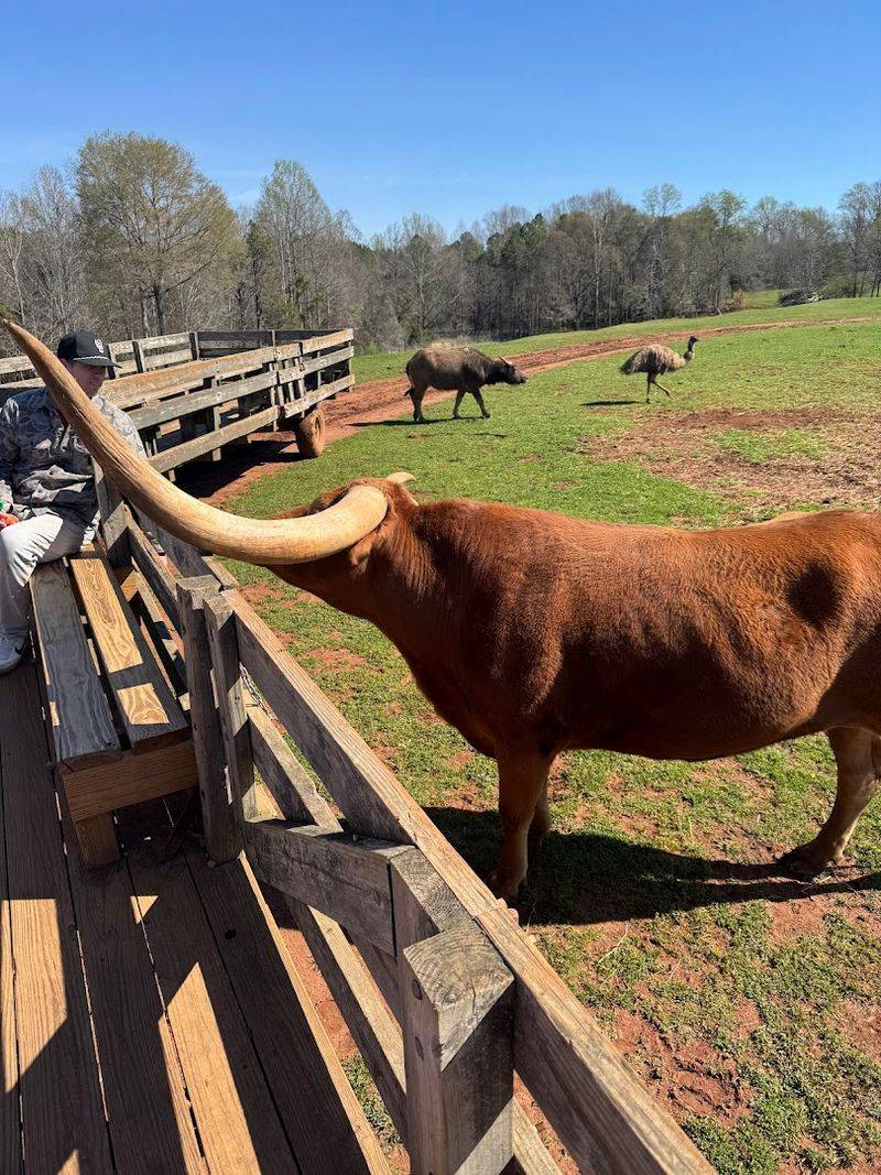 The Safari Wagon Ride Through 50 Acres of Open Land The Safari Wagon Ride Through 50 Acres of Open Land