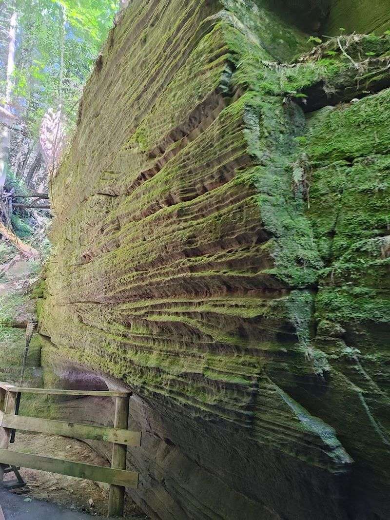 The Sandstone Canyon That Built Its Own Reputation The Sandstone Canyon That Built Its Own Reputation