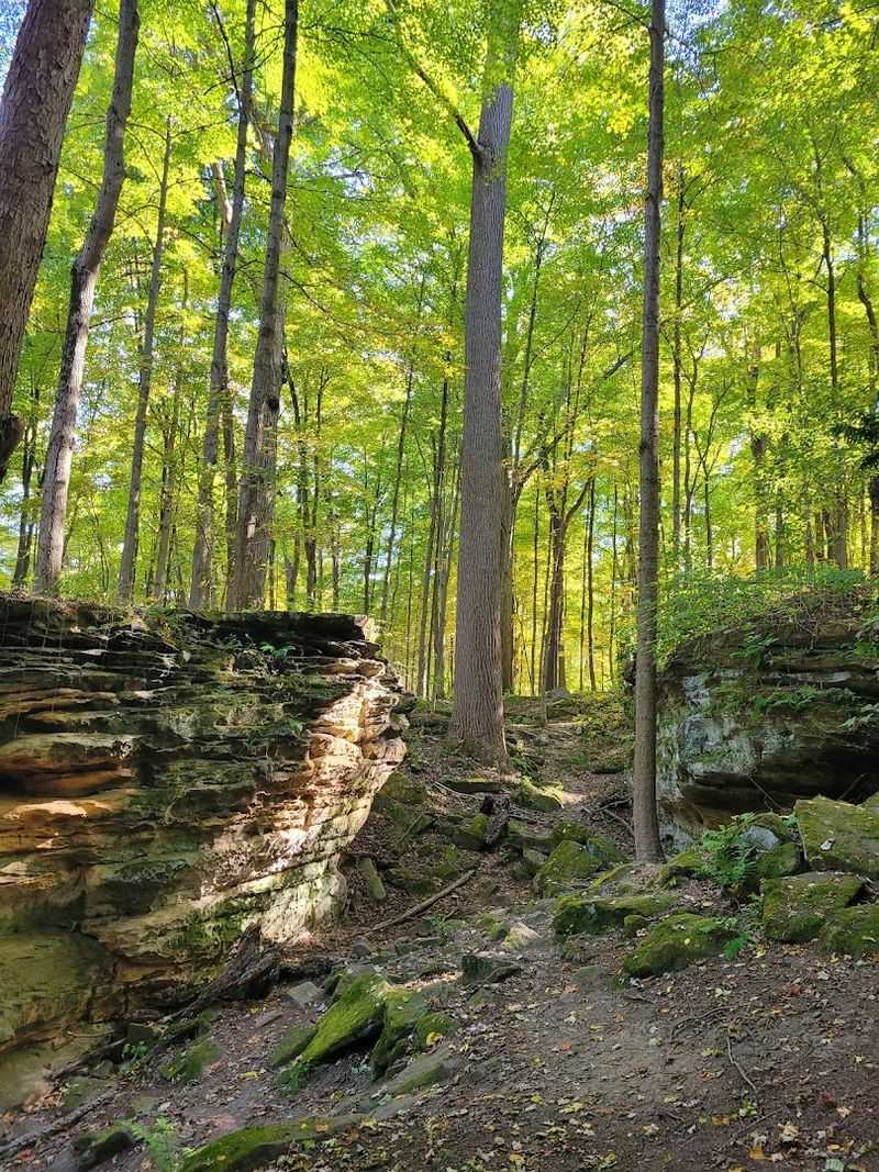 The Sandstone Ledges Themselves The Sandstone Ledges Themselves