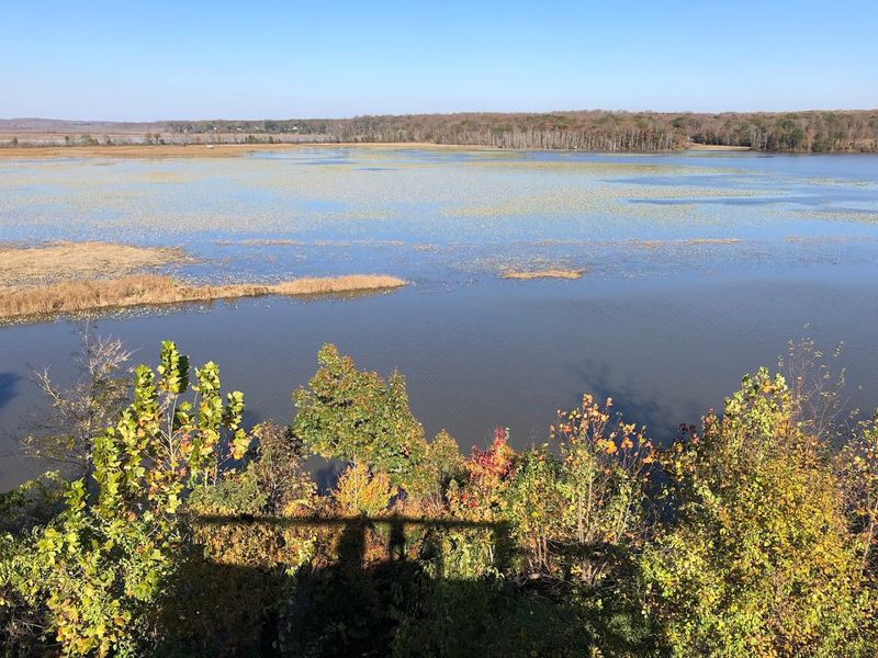 The Scale Of The Wetlands Is Hard To Overstate