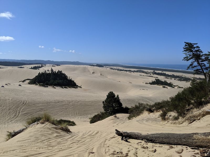 The Scale of the Dunes: 40 Miles of Wind-Sculpted Sand