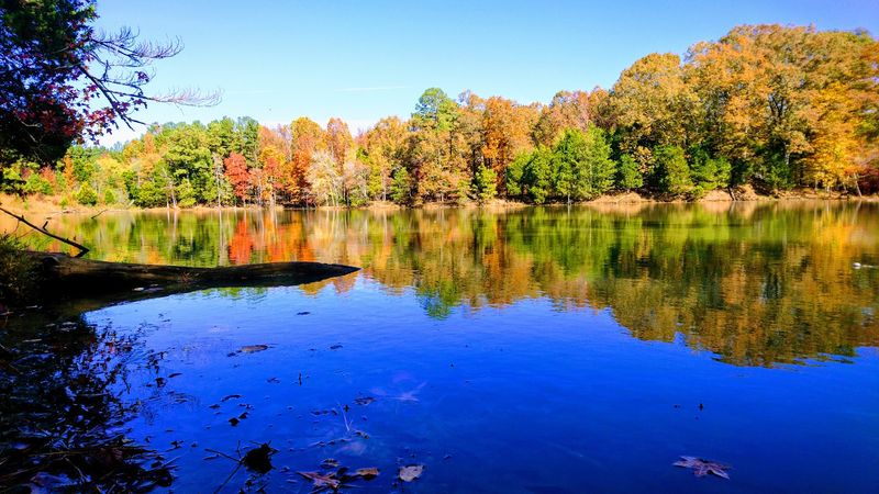 The Scenery That Makes Every Step Worth It The Scenery That Makes Every Step Worth It