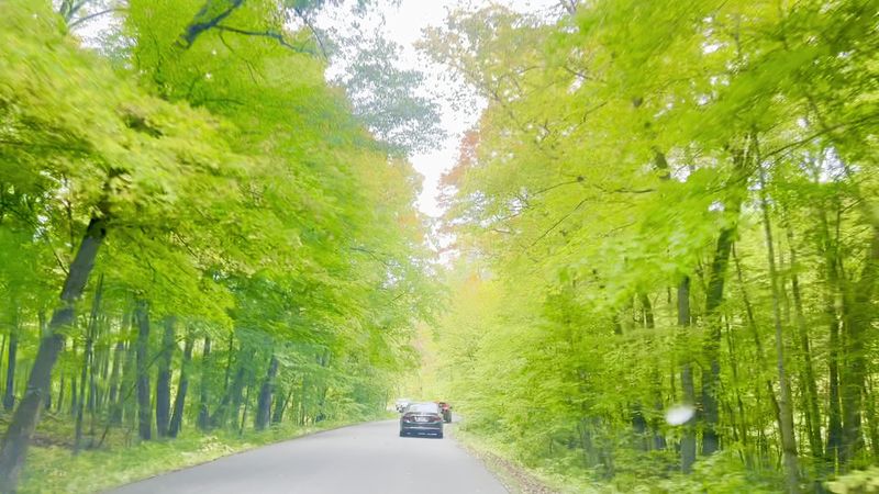 The Scenic Drive That Will Slow You Down